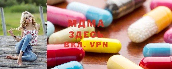 прущие грибы Вязьма