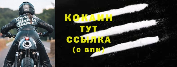 прущие грибы Вязьма