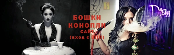прущие грибы Вязьма