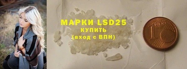 прущие грибы Вязьма
