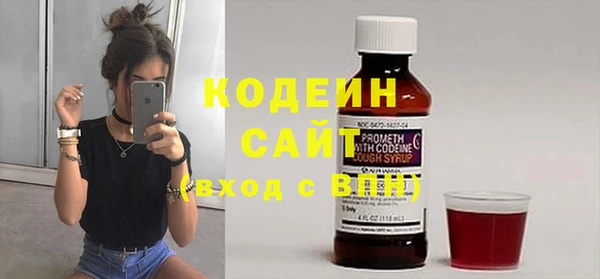 прущие грибы Вязьма