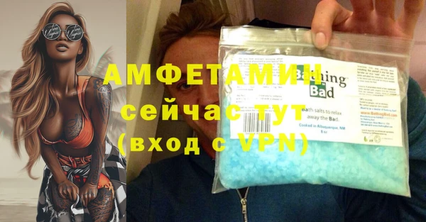 крисы Корсаков