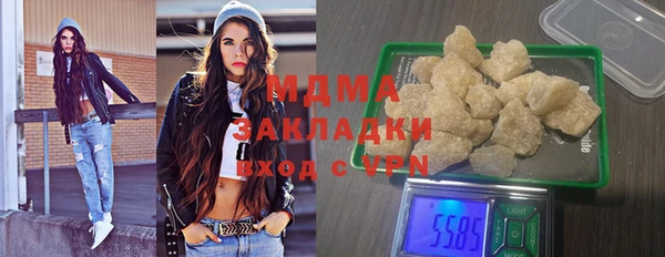 прущие грибы Вязьма