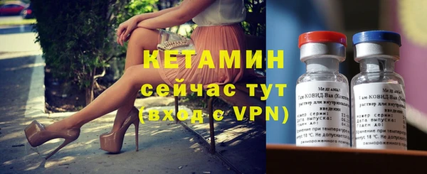 прущие грибы Вязьма
