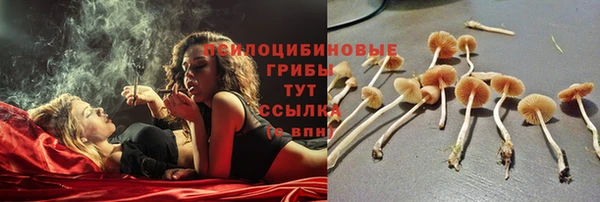 героин Тавда