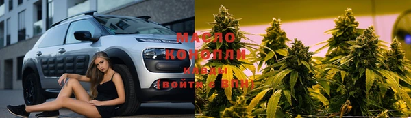 прущие грибы Вязьма