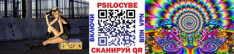 дарнет шоп  Озёры  Псилоцибиновые грибы мицелий 